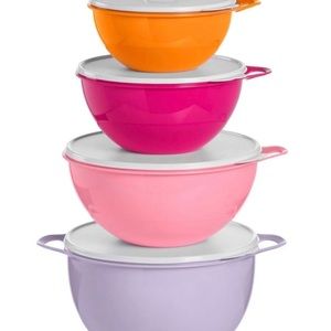 Tupperware Thatsa Bowls Set of 4 summer colors